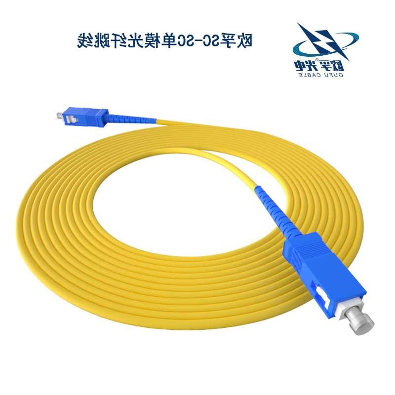 天津SC/PC光纤跳线